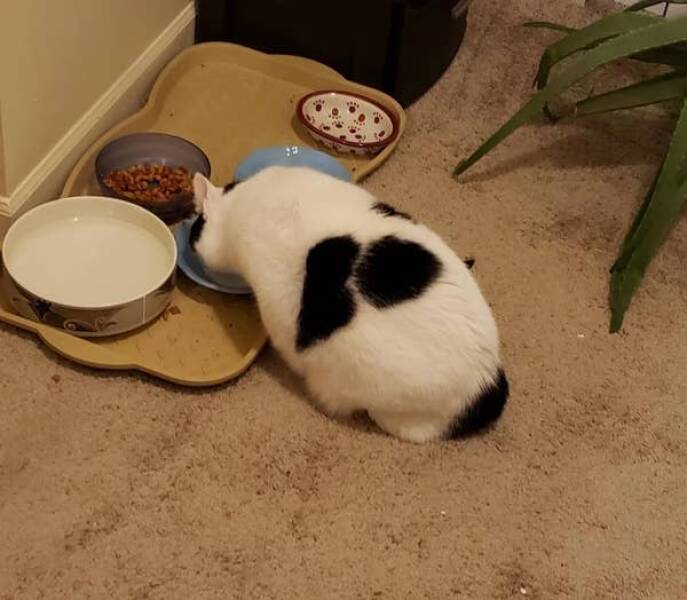 Bizarre Real-Life Coincidences