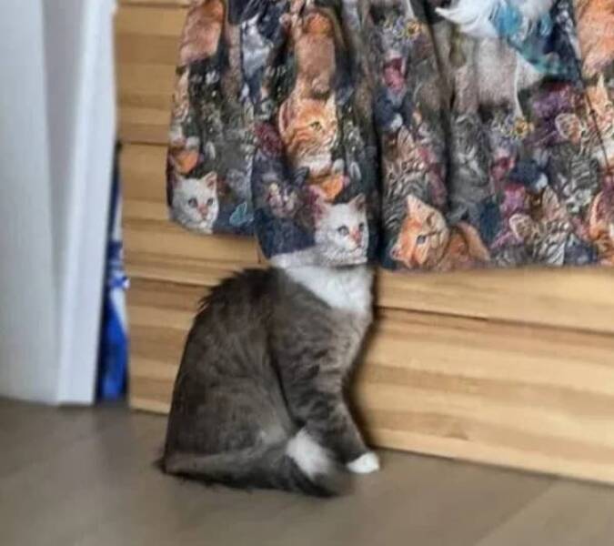 Bizarre Real-Life Coincidences