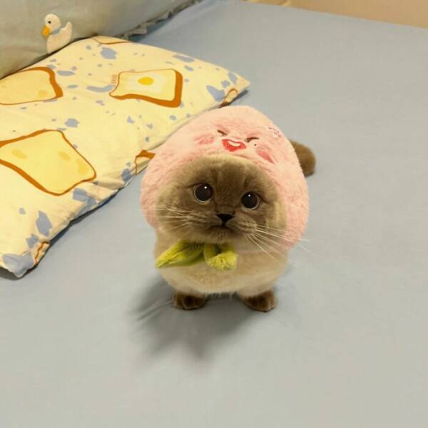 Fluffy, Furry, and Full of Love