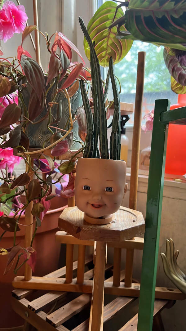 Nope! Do Not Want That Nope! Do Not Want That