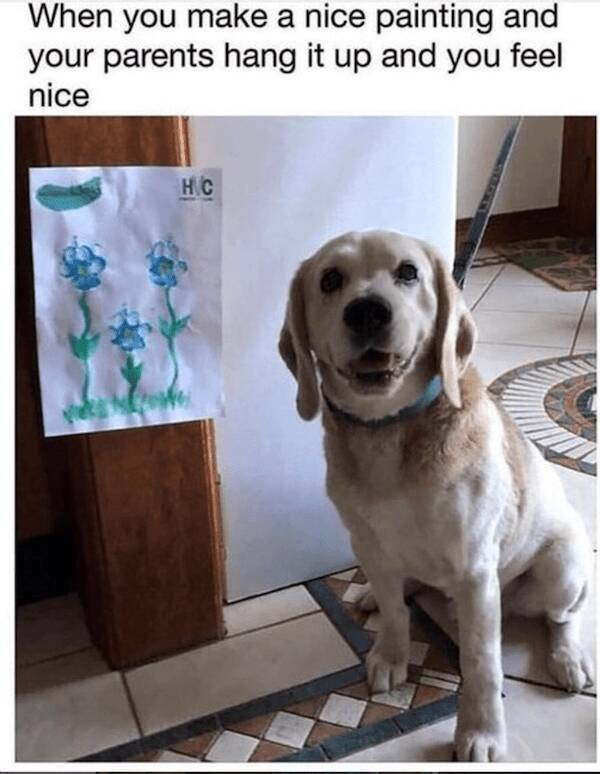 Pawsitively Hilarious Dog Memes