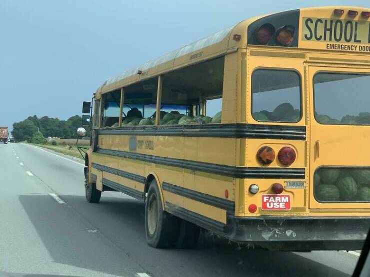 The Web Is Still Weird—and Hilarious