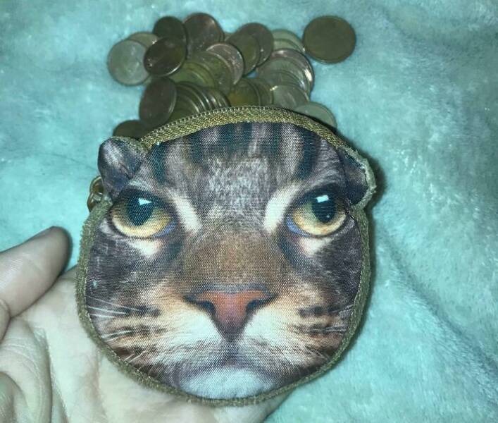 The Web Is Still Weird—and Hilarious