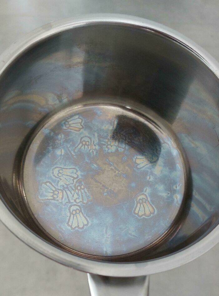 The Web Is Still Weird—and Hilarious