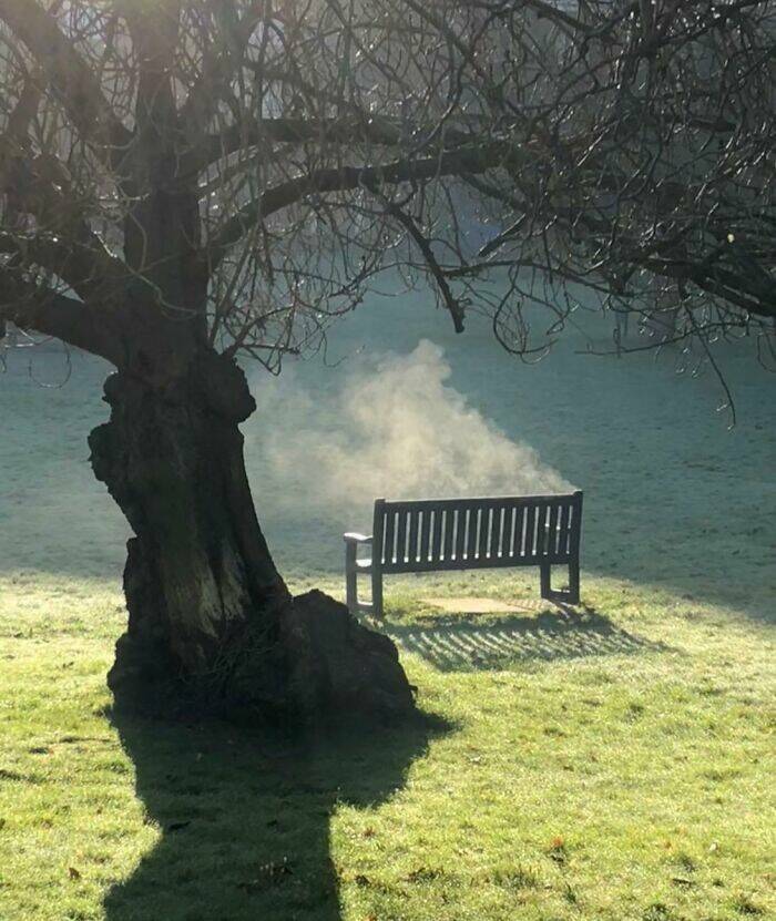 The Web Is Still Weird—and Hilarious