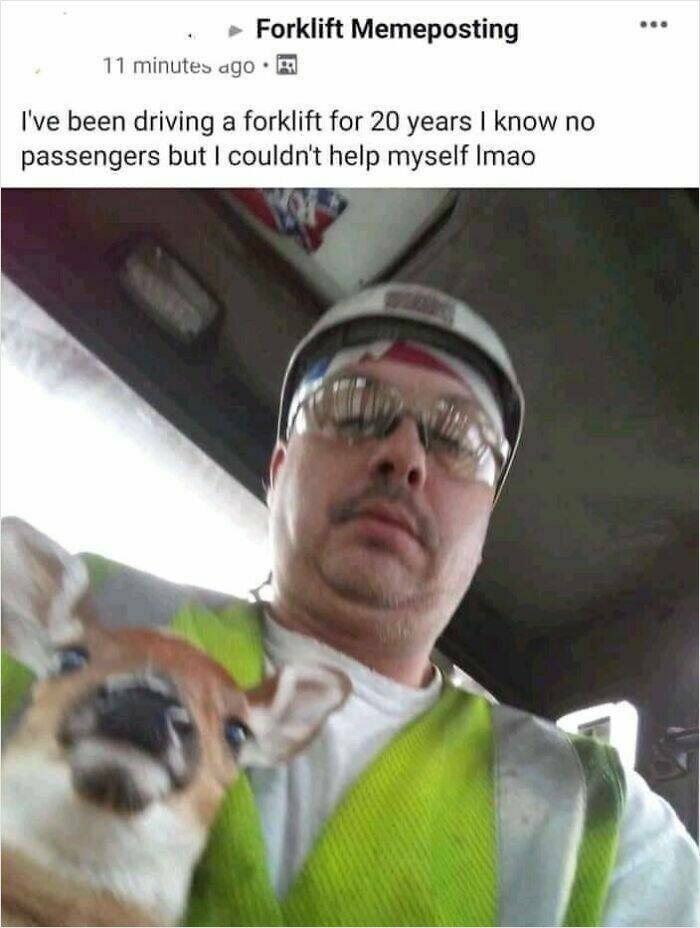 The Web Is Still Weird—and Hilarious