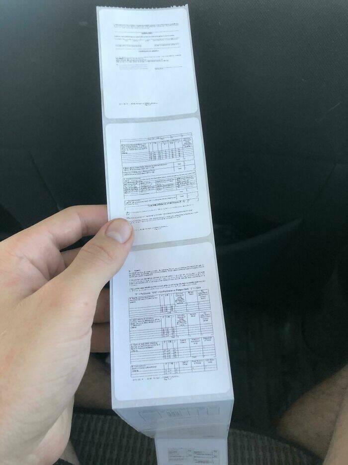 The Web Is Still Weird—and Hilarious