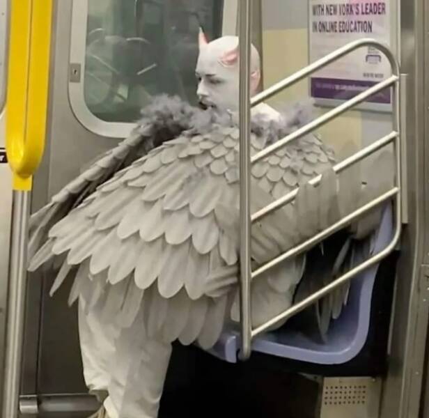 The Wildest Things Spotted on Subways