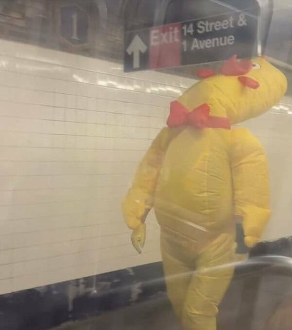 The Wildest Things Spotted on Subways