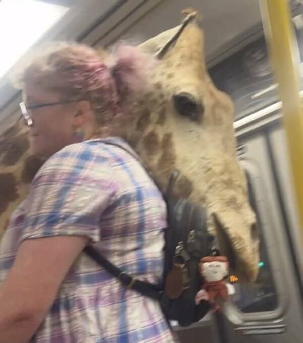 The Wildest Things Spotted on Subways