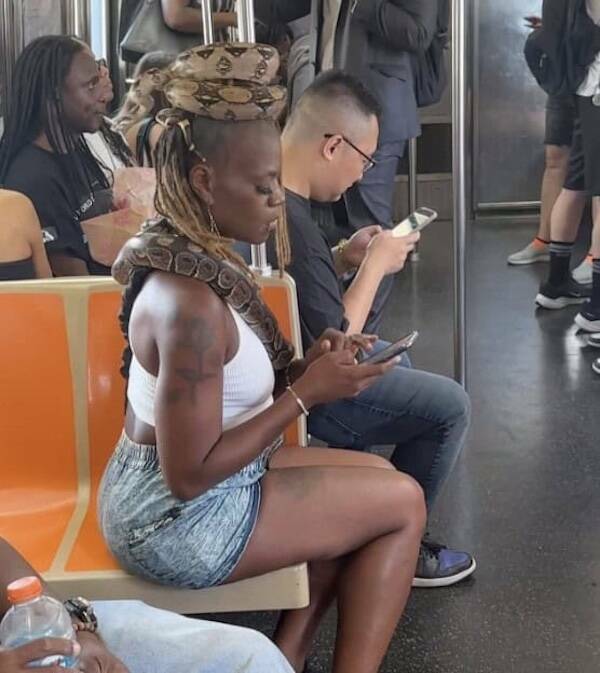 The Wildest Things Spotted on Subways