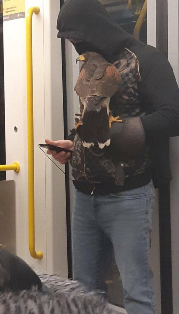 The Wildest Things Spotted on Subways