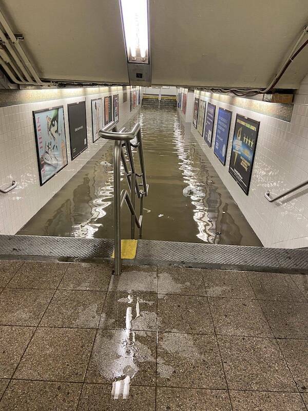 The Wildest Things Spotted on Subways