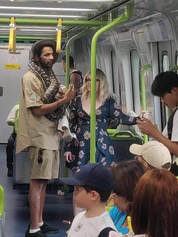 The Wildest Things Spotted on Subways