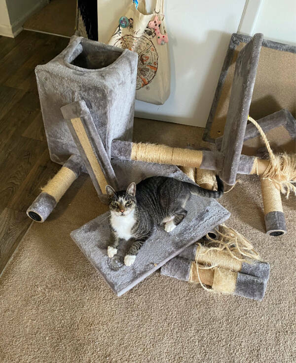 When Bad Days Strike