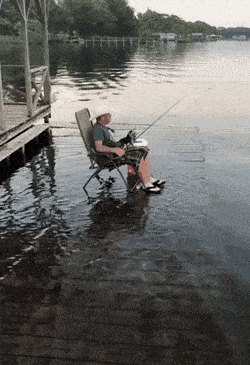 Daily Gifdump Daily Gifdump