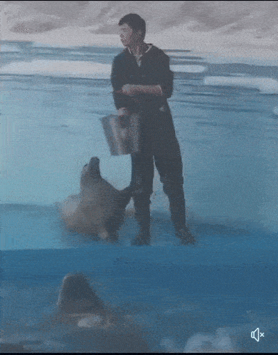 Daily Gifdump Daily Gifdump