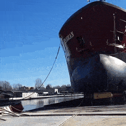 Daily Gifdump Daily Gifdump