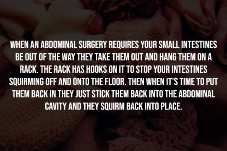 Eerie Facts That Are Terrifyingly Real