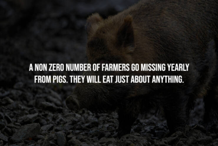 Eerie Facts That Are Terrifyingly Real