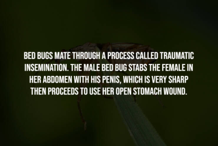 Eerie Facts That Are Terrifyingly Real