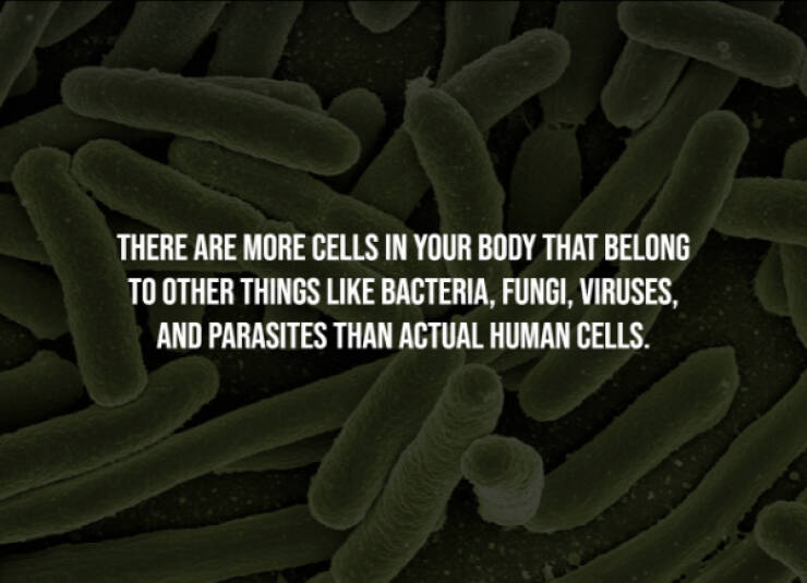 Eerie Facts That Are Terrifyingly Real