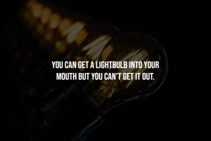 Eerie Facts That Are Terrifyingly Real