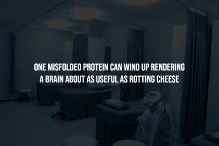 Eerie Facts That Are Terrifyingly Real