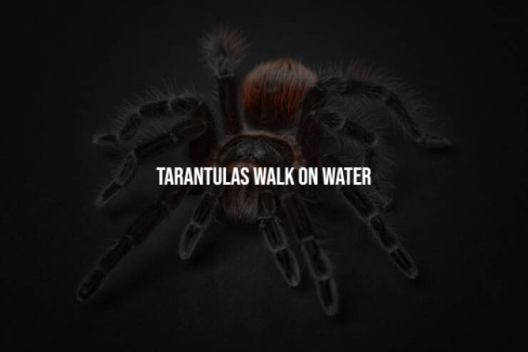 Eerie Facts That Are Terrifyingly Real