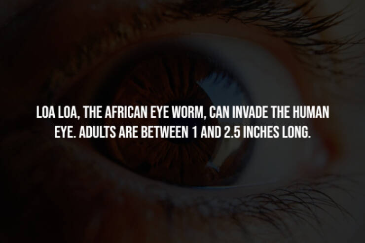 Eerie Facts That Are Terrifyingly Real