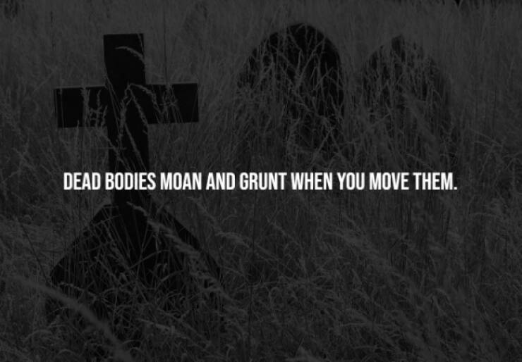 Eerie Facts That Are Terrifyingly Real