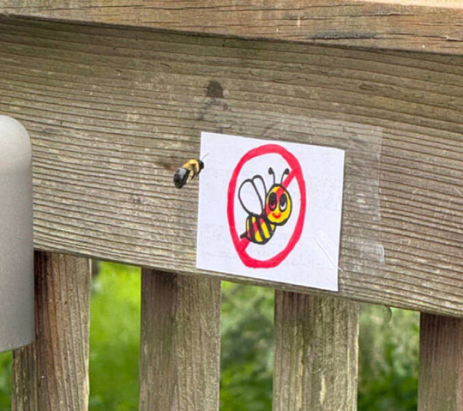 Enough Internet For Today! Enough Internet For Today!