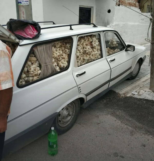 Enough Internet For Today! Enough Internet For Today!