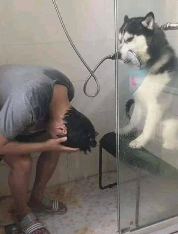 Enough Internet For Today! Enough Internet For Today!