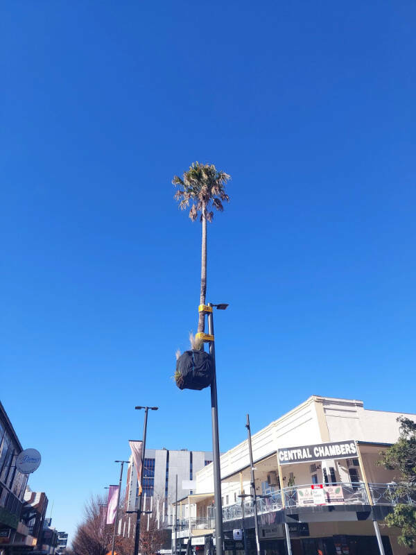 Enough Internet For Today! Enough Internet For Today!