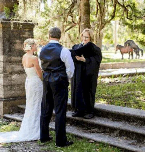 Enough Internet For Today! Enough Internet For Today!