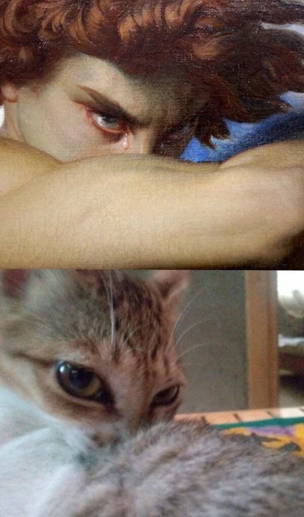 Enough Internet For Today! Enough Internet For Today!