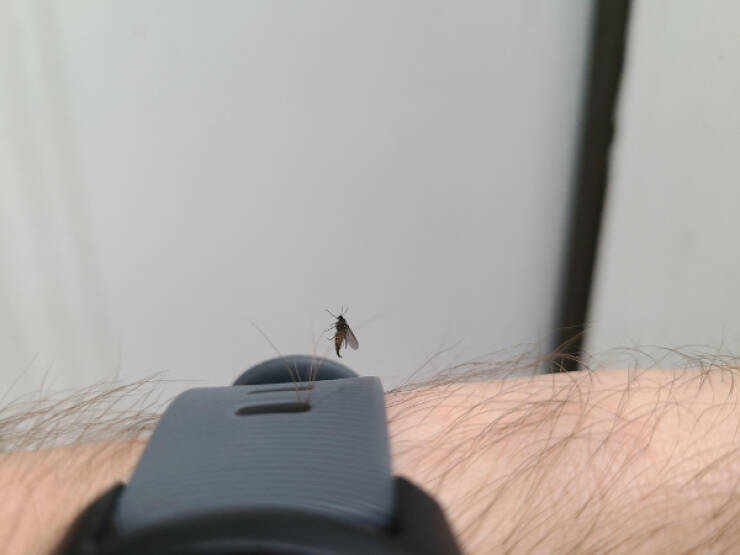 Eye-Catching Images You’ll Want to Share