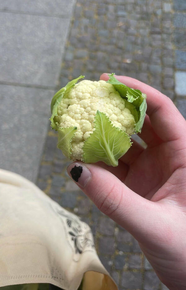 Eye-Catching Images You’ll Want to Share