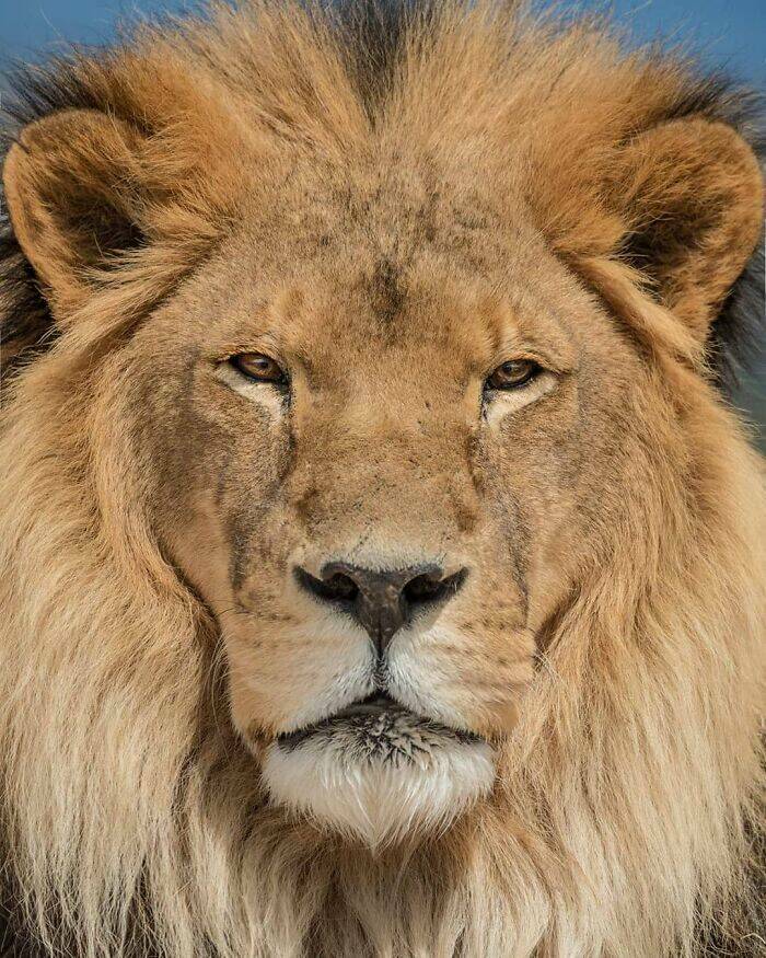 Jaw-Dropping Wildlife Photography Jaw-Dropping Wildlife Photography