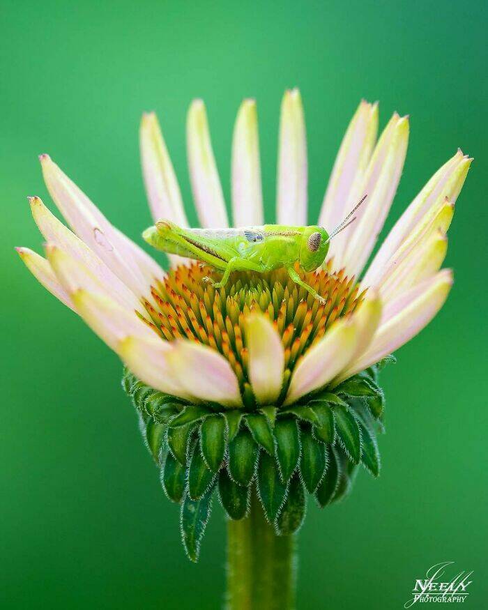 Jaw-Dropping Wildlife Photography Jaw-Dropping Wildlife Photography