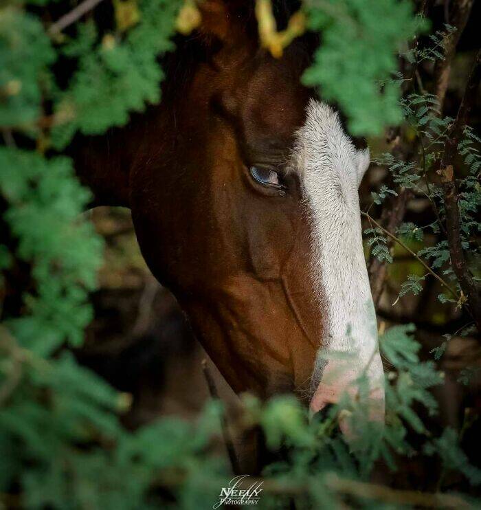 Jaw-Dropping Wildlife Photography Jaw-Dropping Wildlife Photography