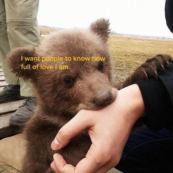 Uplifting Photos That Radiate Pure Joy