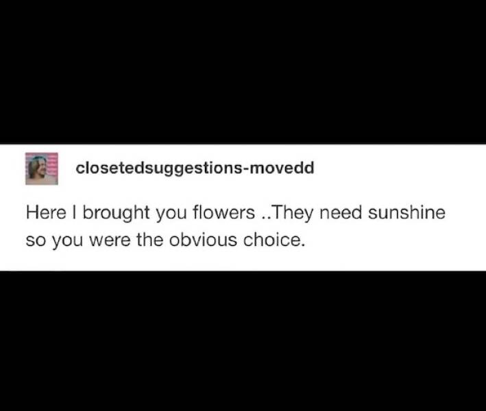 Uplifting Photos That Radiate Pure Joy