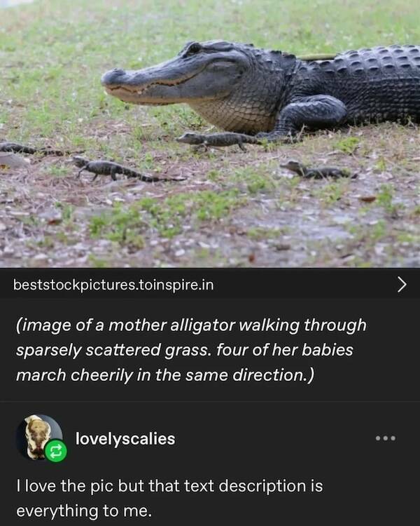 Uplifting Photos That Radiate Pure Joy