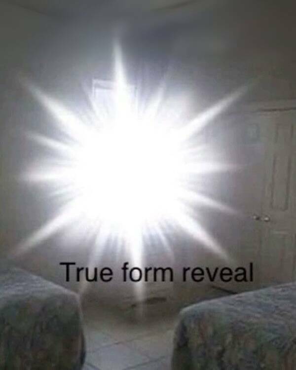 Uplifting Photos That Radiate Pure Joy