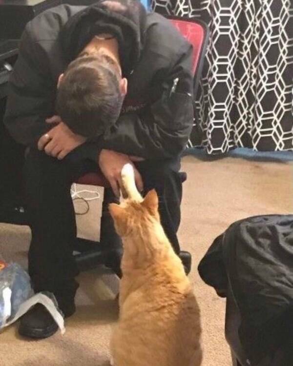 Uplifting Photos That Radiate Pure Joy