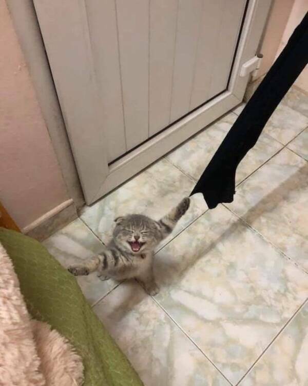 Uplifting Photos That Radiate Pure Joy Uplifting Photos That Radiate Pure Joy