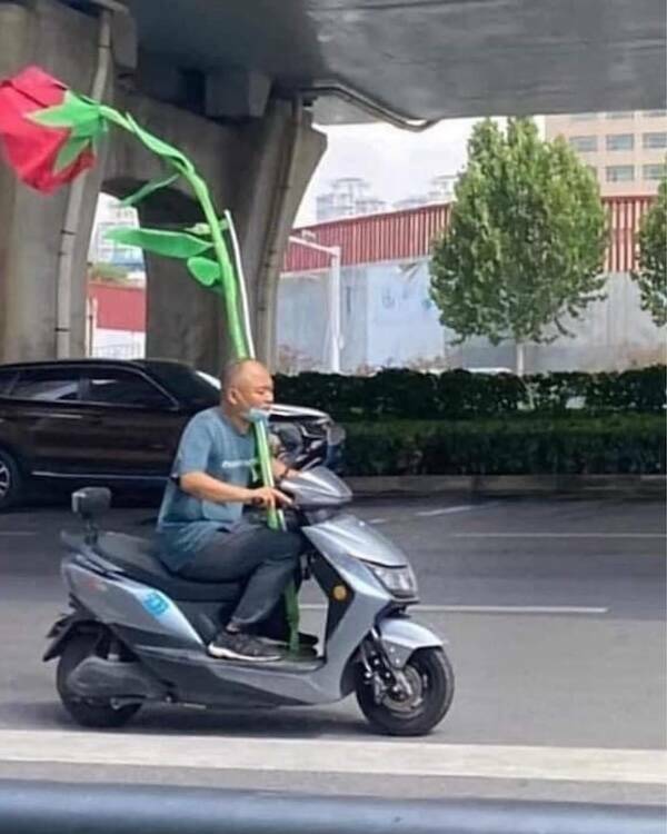 Uplifting Photos That Radiate Pure Joy Uplifting Photos That Radiate Pure Joy