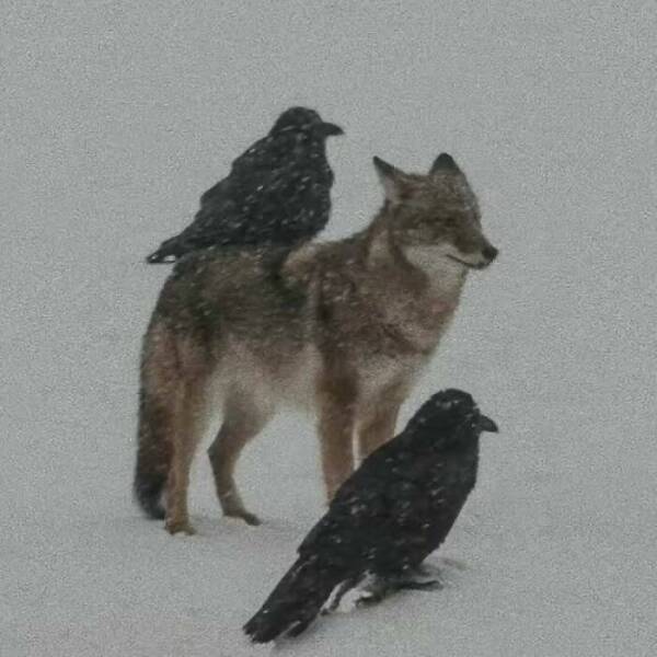 Weird and Wonderful Pics And Facts to Blow Your Mind